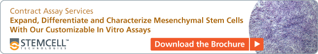 Contract Assay Services: Expand, Differentiate and Characterize Mesenchymal Stem Cells With Our Customizable In Vitro Assays. Download our FREE Brochure
